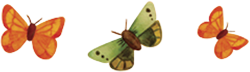 borboletas